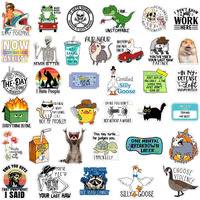 Chivertion 400 Pcs Funny Stickers For Adults Funny Water Bottles Stickers Pack Waterproof Cool Stickers For Laptop  Bumper  Phone  Hard Hats  Wall  Window Decals Decors  50 Styles (Funny Style)