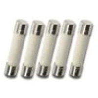 Pack Of 5  T10Ah250V  T10A 250V  T10 H250V  T10A 250V  T10H250V Cartridge Ceramic Fuses 5X20Mm (3/16 Inch X 3/4 Inch)