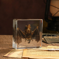 Taxidermy Bat  Real Bat Specimens Animal Specimen In Resin For Science Classroom Science Education  Great Gift For Fans Of Taxidermy  Animal Skull  Oddities  Biology(3 X 3 X 1 Inch)