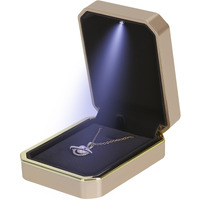 Luxury Led Pendant Necklace Gift Box With Led Light  Velvet Jewelry Storage Display Case For Proposal Engagement Wedding Anniversary Birthday Valentine's Day (Gold)