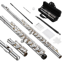 Pogolab Open Hole C Flute  16 Keys Student Flute Instrument For Beginner Advanced Player  With Carry Bag  Strap  Gloves  Adjustment Screwdriver  Cleaning Kit (Open/Closed Hole  Silver Plated)