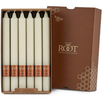 Root Candles Unscented Arista Timberline 9-Inch Dinner Candles  12-Count  Ivory