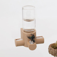 Daerky Jumping Spider Water Dispenser  Magnetic Hanging Feeder Suitable For Jumping Spiders Tarantulas  Praying Mantises Arboreal Animals  And Other Small Animal Enclosure Accessories 5Ml (Wooden)
