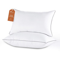 Sasttie Pillows Queen Size Set Of 2  Down Alternative Plush And Supportive Bed Pillows For Stomach And Back Sleepers  Pack Of 2  Queen  30 In L X 20 In W