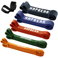Pull Up Assistance Bands  Hapbear Resistance Band Set Of 5  Long Power Workout Rubber Bands With Door Anchor  Strength Heavy Duty Exercise Bands For Powerlifting Stretching Fitness Training  Colorful