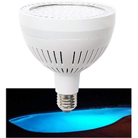 Led Pool Light Bulb 120V 65W 7000Lm Bright White Pool Bulb Replacement For 500W Pentair Hayward Inground Pool Light