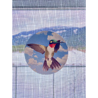 Retractable Screen Door Decals (Stickers) - 6 Per Package - Keep Children Safe - Alert Birds  Dogs  Kids - Warn  Protect  Window Safety - Hummingbird Set