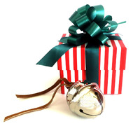 Polar Exp Sleigh Bell Gift Set