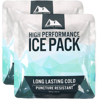 Titan Deep Freeze High Performance Ice Pack - (2 Pack) 250G - Long-Lasting  Puncture Resistant Cold Pack