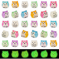 Fexia 30Pcs Mini Resin Owls Collection Mini Resin Animals To Hide Tiny Glow In The Dark Figures For Aquariums Dollhouses Fairy Garden Accessories