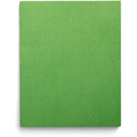 Staples 578510 School Grade 2 Pocket Folder With Fasteners Green 25/Box