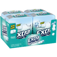 Extra Refreshers Polar Ice Chewing Gum 40 Countpack Of 4