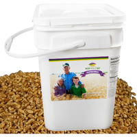 Hard Red Wheat Berries : Wheatland : 25 Lb Bulk: Emergency Preparedness : Mylar : Oxygen Absorber : 30 Year Shelf Life : Non Gmo: No Glyphosate : Long Term Food Storage