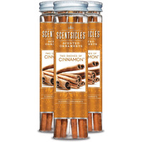 Scentsicles 6 Piece Two Dashes Of Cinnamon Bottle, 3 Bottles Per Pack