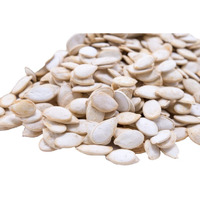 Jumbo Sized Lightly Sea Salted Pumpkin Seeds In Shell By Gerbs - 2 Lbs - Top 11 Food Allergen Free & Non Gmo - Premium Giant Size Whole Roasted Pepitas - Cog Usa