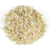 Frontier Chopped White Onion, Allium Cepa, 16 Ounce Bag