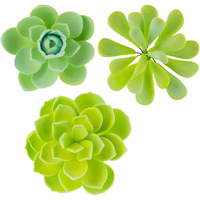 Global Sugar Art Succulent Mixed Assortment Sugar Cake Flowers, 3 Count By Chef Alan Tetreault