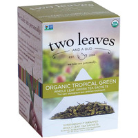 Two Leaves And A Bud Organic Tropical Green Tea, Whole Leaf Green Tea In Compostable Sachets, Sencha Green Tea For Hot Or Iced Tea, 15 Count (Pack Of 1)