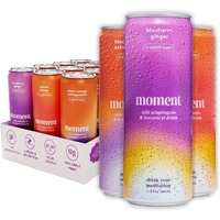 Moment Adaptogen Drink (Shark Tank) - Non-Carbonated Combo | Blueberry Ginger, Spiced Mango, Blood Orange | L-Theanine & Ashwagandha For Calm & Clarity | 0 Added Sugar, 0 Caffeine, 0 Alcohol | 12-Pack