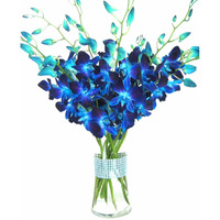 Eflowerwholesale - Premium Cut Blue Orchids (10 Stems Orchid With Rhinestone Mesh Ribbon Vase)