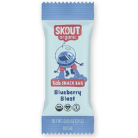 Skout Organic Blueberry Blast Real Kids Snack Bars (18 Pack) | Organic Kids Snack Bars | Plant-Based Nutrition, No Added Sugar | Vegan | Gluten, Dairy, Grain, Peanut, Tree Nut & Soy Free