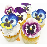 Sugar Robot Inc. Edible Wafer Pansies Premium Crafted Made In The Usa Cake And Cupcake Toppers, Decoration (Pansy)