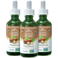 Wisdom Natural Brands Stevia Liquid Sweet Drops - Hazelnut Flavored Drops, Stevia Liquid Sweetener, Zero-Calorie, Sugar-Free Syrup Alternative For Keto Coffee, Baking, Shakes, 2 Fl Oz (Pack Of 3)
