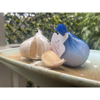 Elephant Garlic 2 Huge Bulbs! Great For Fall Planting! Non Gmo Milder Tasting Garlic