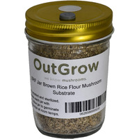 Brf Jars Brown Rice Flour Mushroom Substrate