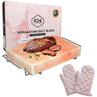 Pohs Himalayan Pink Rock Salt Block For Grilling, Searing, Cooking, Bbq, Hot And Cold Serving | Himalayan Salt Slab With Premium Quality Stainless Steel Holder (S.S Holder 12 X 8 X 2 Inches) With Gloves