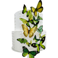 Sugar Robot Inc. Edible Butterflies For Cake Decorating - Assorted Sizes, Premium Crafted In The Usa - Butterfly Cake Toppers & Cupcake Decorations (Green)