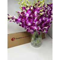 Fresh Cut Purple Orchid With Custom Printed Ribbon (30 Stems With Vase)