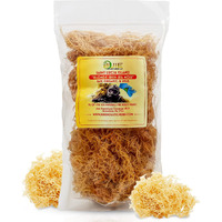 Buie Holistic Herbs Golden Irish Sea Moss, Pure Wildcrafted, Nutrient-Rich, Dr. Sebi Inspired - Makes 240+ Oz Gel | Pure & Natural Raw Gold Irish Sun - Dried Sea Moss For Health & Wellness / (16 Oz)