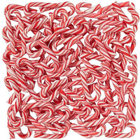 Mini Candy Canes (100 Individual Wrapped Candies) Bulk Christmas Candy