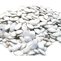 Jumbo Raw Pumpkin Seeds In Shell By Gerbs - 4 Lbs - Top 11 Food Allergen Free & Non Gmo - Vegan & Kosher - Premium Giant Size Whole Pepitas - Cog Usa