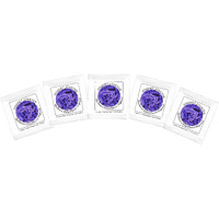 Yogurt Starter Cultures - Pack Of 5 Freeze-Dried Culture Sachets For Balkan Style Plain Yogurt