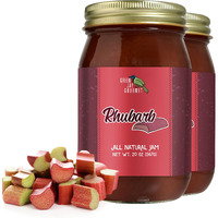 Green Jay Gourmet Rhubarb Jam - All-Natural Fruit Jam With Rhubarb & Lemon Juice - Vegan, Gluten-Free Jam - Contains No Preservatives Or Corn Syrup - Made In Usa - 2 X 20 Ounces