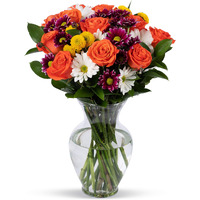 Benchmark Bouquets Life Is Good Flowers Orange, Prime Delivery, Vase Included, Grower Direct Fresh Cut Flowers, Gift For Home D  Cor, Birthday, Anniversary, Get Well, Sympathy, Friendship And Love.