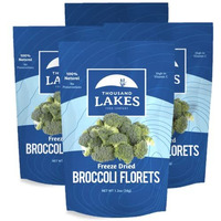 Thousand Lakes Freeze Dried Vegetables - Broccoli Florets 4-Pack 1.2 Ounces (4.8 Ounces Total) | 100% Florets - No Stems | No Salt Added