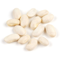 D'Allesandro Cannellini Beans, Italian White Kidney Beans, 10 Lb Bulk Case, Mild Nutty Flavor, Creamy Texture, Kosher