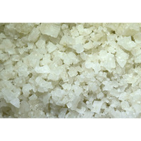 Premier Salt's Celtic Sel Gris Gourmet French Grey Sea Salt (12Oz - Coarse Grain) Premium Collection In Re-Sealable Refill Bag - Kosher And Non-Gmo