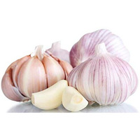 Kejora Usda Certified Organic Fresh Garlic Bulb 5 Count - Grown In California, Usa
