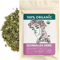 Echinacea Tea (Echinacea Purpurea) - Organic Echinacea Herb - Immune Support, Respiratory, Digestion - Loose Leaf Herbal Tea Equinacea Organica - 4 Oz
