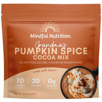 Mindful Nutrition Grandmas Organic Hot Chocolate Mix I Dairy Free Hot Cocoa Mix I Plant Based Chocolate Milk Powder I Organic Dark Chocolate Beverages I Coffee Creamer Substitute Fat Free - 12Oz (Pumpkin Spice)