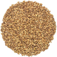 Organic Italian Pearled Farro - Raw, Non-Gmo, Vegan, Bulk, Protein, Fiber Rich (10Lb)