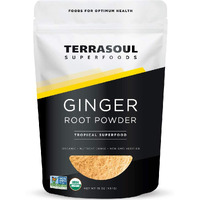 Terrasoul Superfoods Organic Ginger Powder, 1 Lb - Lab-Tested | Raw | Potent Spicy Flavor