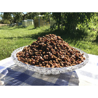 Fresh Organic Bee Bread, Naturally Fermented Pollen, Perga, 1 Pound, 460G., 2021 Harvest