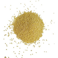 Usa Grown Organic Millet, Whole Grain Seeds Non Gmo Hulled Gluten Free Bulk Raw