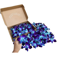 Miami Fresh Orchid Flower Orchidclub Usa Sunne Tropical Loose Bloom Head Diy Lei Food Drink Decoration (2X50 Blue)