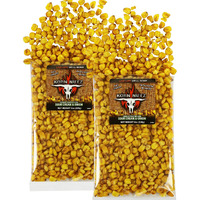 Sour Cream & Onion Korn Nutz | Soft Crunch Toasted Corn | Roasted Crunchy Corn Made In The Usa | Runnin Wild Foods | 1-Pound Total (Box Of 2 Bags, 8Oz Each)